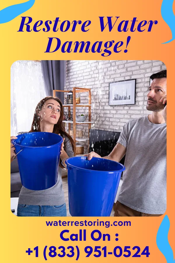 water restoration National Flood Damage Solutions Unadilla Forks