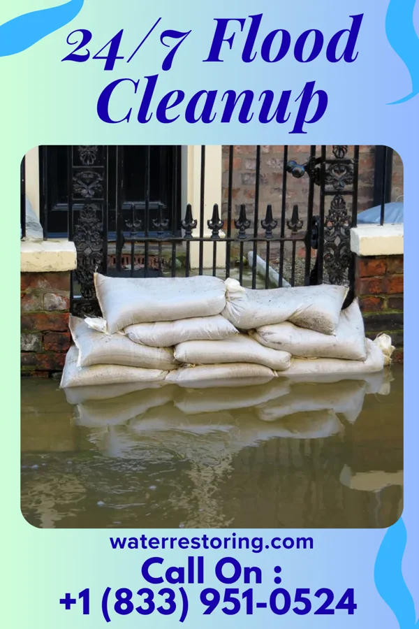 24/7 Flood Cleanup in Unadilla Forks, NY