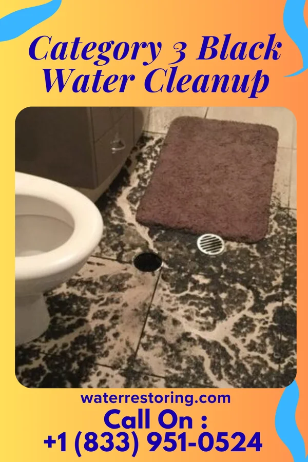 Category 3 Black Water Cleanup in Unadilla Forks, NY