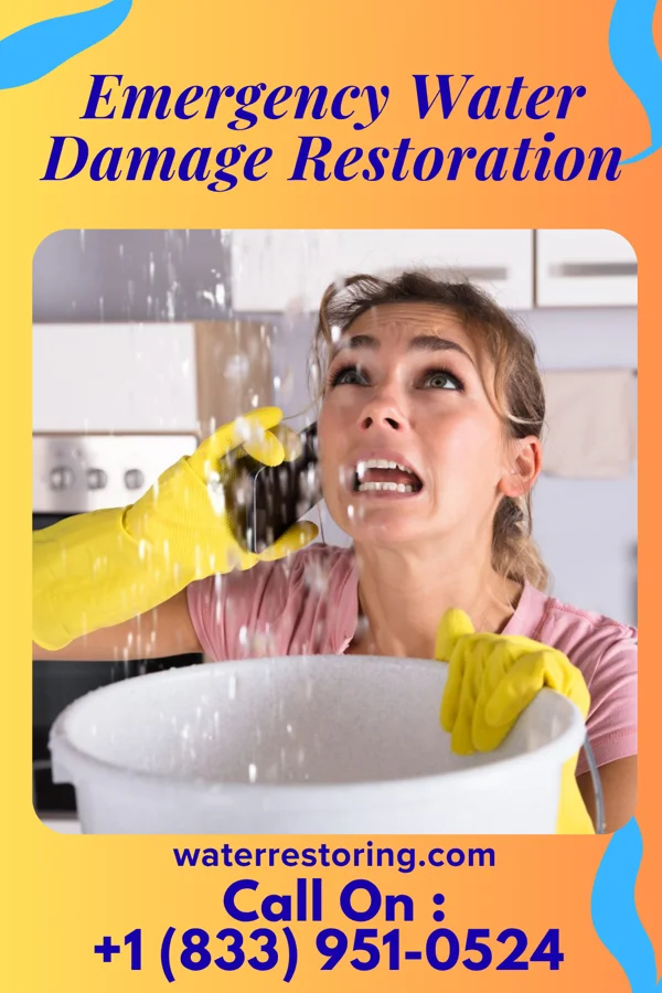 Emergency Water Damage Restoration in Unadilla Forks, NY