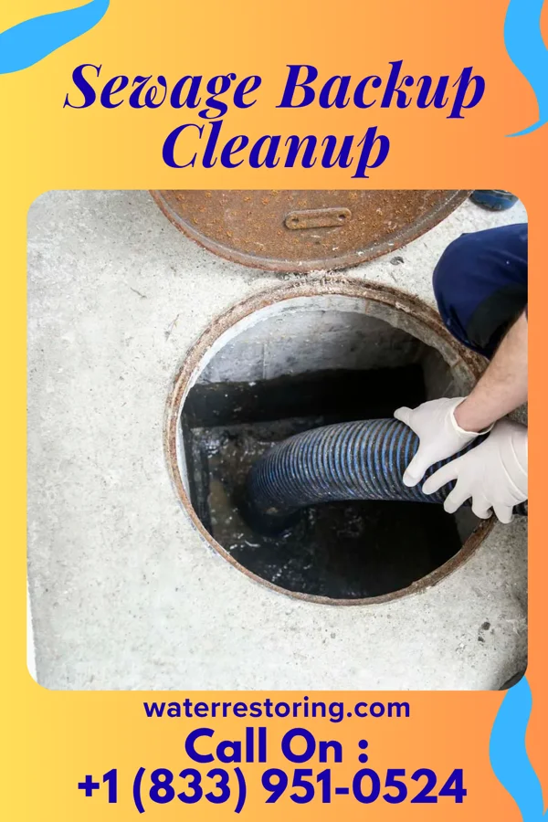 Sewage Backup Cleanup in Unadilla Forks, NY