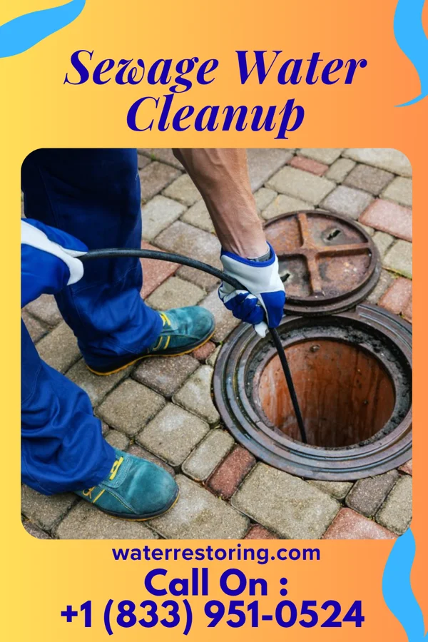 Sewage Water Cleanup in Unadilla Forks, NY