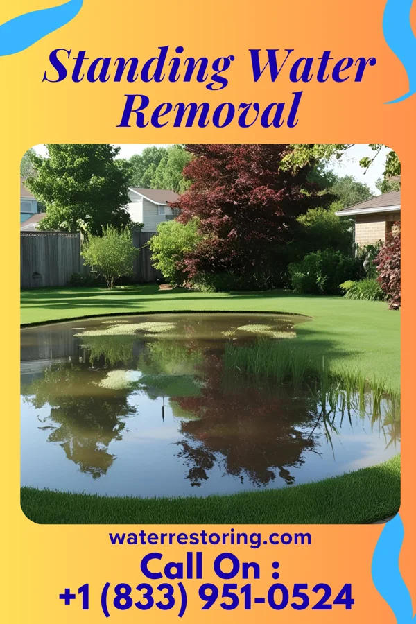 Standing Water Removal in Unadilla Forks, NY